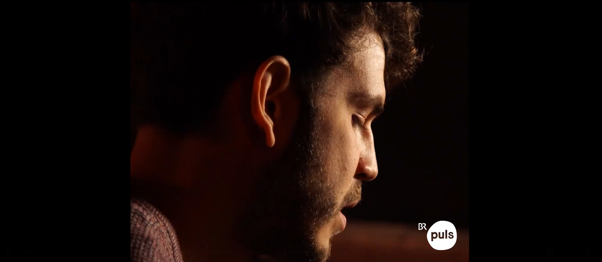 puls-screenshot-ohne-text